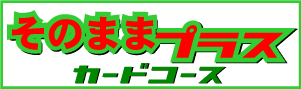 そのままプラスカードコース